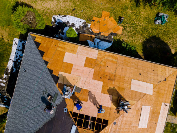 Best Roof Gutter Cleaning  in Bellevue, KY